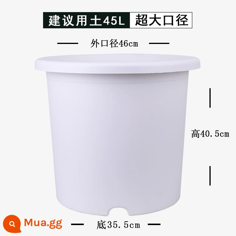 Nồi cực lớn 10 gallon hộ gia đình deepot chậu hoa nhựa tú cầu hoa hồng kiểm soát rễ nhựa núi xanh chậu cây - [Sâu số 14] Trắng (1 chậu)