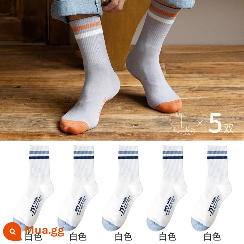 Vớ đồ nam vớ mùa hè mùa hè cotton mồ hôi, de de de definerous vô hình tất - [5 Đôi Tất] 5 Đôi Trắng