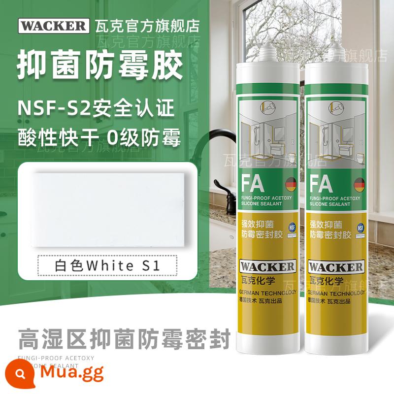 [2 gói] Keo dán kính Wacker DA chống thấm nước và chống nấm mốc cho nhà bếp và phòng tắm keo làm đẹp chống ẩm mạnh mẽ cho bồn cầu - Keo kháng khuẩn và kháng nấm có tính axit và mạnh FA [Gói 2 gói màu trắng]