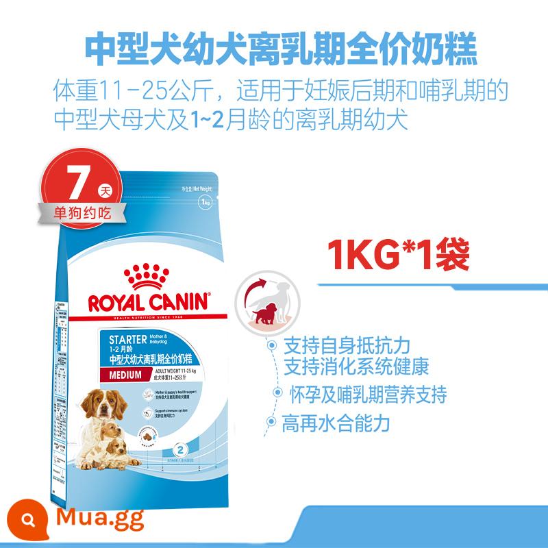 Thức ăn cho chó hoàng gia bánh sữa chó con đặc biệt chó nhỏ Shiba Inu chó Bichon Thức ăn cho chó bông Thức ăn cho chó con Yorkshire - [Chó cỡ vừa MES30] Thức ăn bánh sữa 1kg (1-2 tháng & giai đoạn cuối thai kỳ & cho con bú)