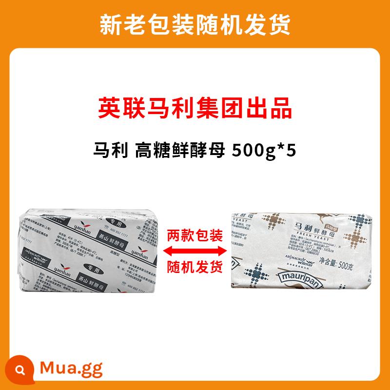 Yanshan men tươi 10g * 10 men tươi hoạt tính cao gói nhỏ bột men hấp bánh mì nướng thương mại hộ gia đình - Men tươi nhiều đường Yanshan 500g*5