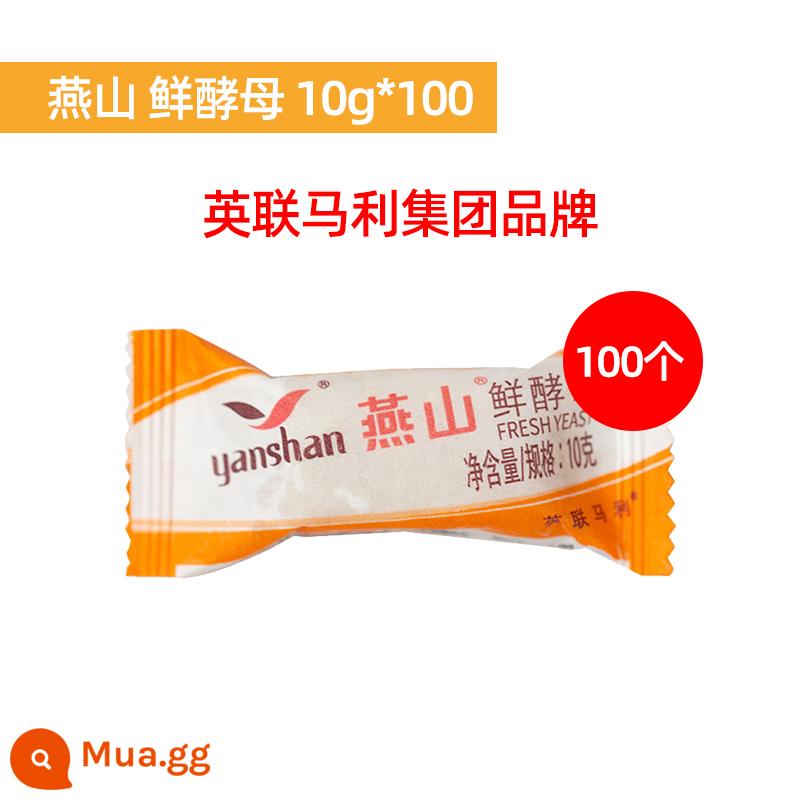 Yanshan men tươi 10g * 10 men tươi hoạt tính cao gói nhỏ bột men hấp bánh mì nướng thương mại hộ gia đình - Nấm men tươi Yanshan 10g*100