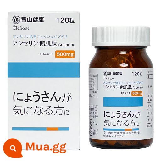 [Tự vận hành] Dược phẩm Toyama Nhật Bản Viên nén Anserinosine Giảm đau Giảm đau cho người lớn Giảm đau khớp Purine Chăm sóc sức khỏe 120 viên - Dược phẩm Toyama Anserine Viên 120 viên/lọ