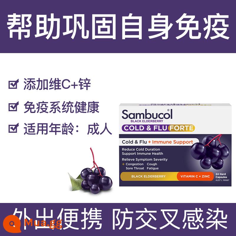 [Tự vận hành] Xi-rô miễn dịch cơm cháy đen Sambucol VC Gói gia đình phổ thông dành cho trẻ em - [Black Elderberry + VC + Zinc] Viên nang miễn dịch 24 viên