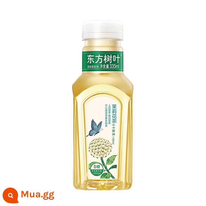 Nongfu núi mùa xuân lá phương đông 0 trà đường uống hoa nhài osmanthus trà ô long trà không đường 335ml*15 lọ - Trà hoa nhài 335ml*24 chai