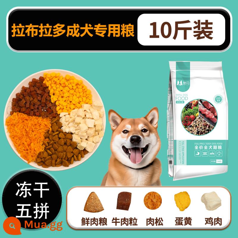 Thức ăn khô cho chó Shiba Inu Nhật Bản thức ăn chủ yếu 10 catties đặc biệt dành cho chó con Chó mục vụ Akita Inu chó lớn loại phổ thông - [Đặc biệt dành cho chó Shiba Inu trưởng thành] Thức ăn 5 phần đông lạnh/hoàn tiền nếu không ăn