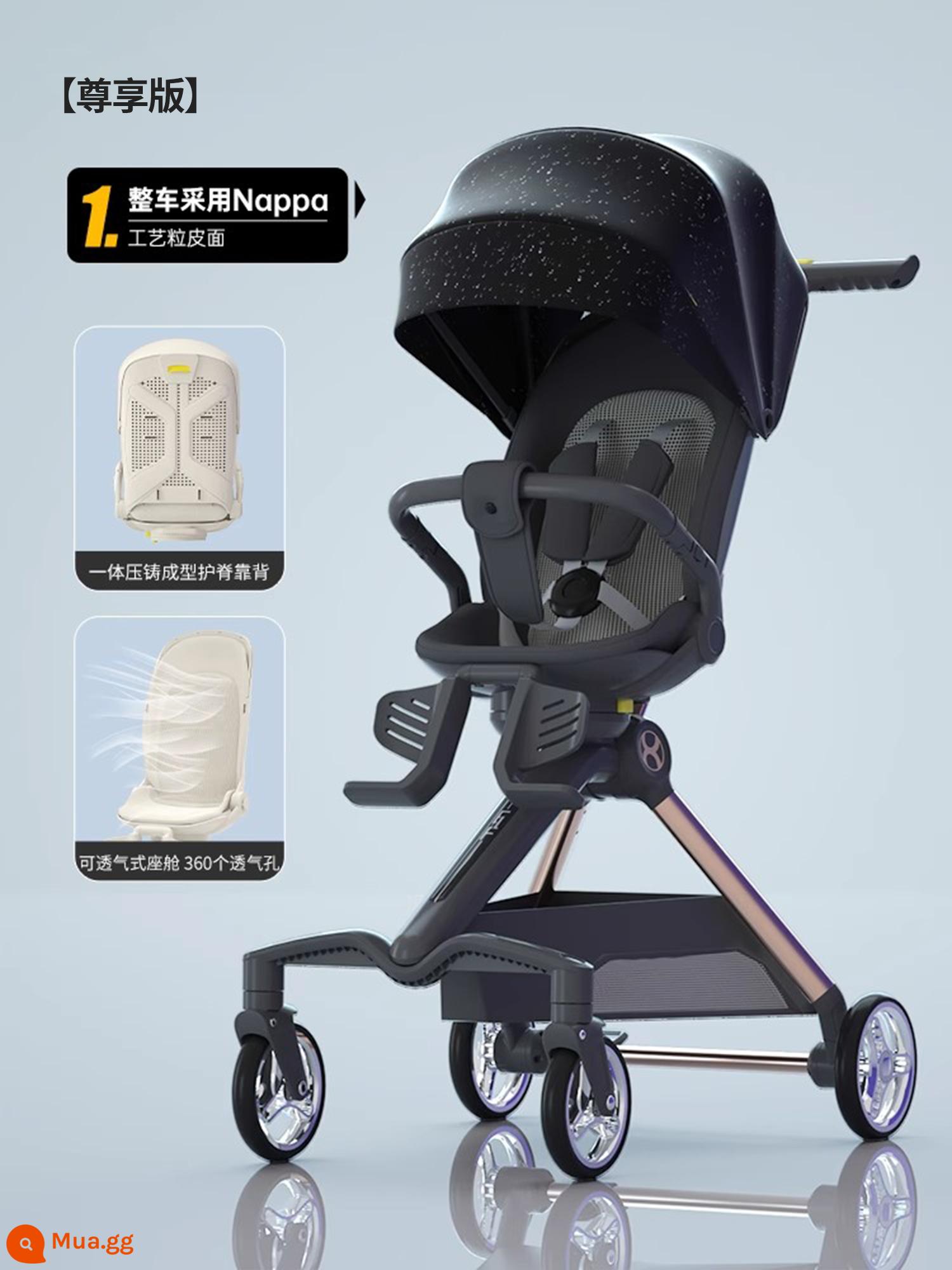 Haxiu Green Elf Walking Baby Artifact Walking Baby Xe đẩy em bé Có thể Ngồi và Nằm Nhẹ Có thể gập lại Tầm nhìn cao - Phiên bản độc quyền màu đen [Xe đạp nâng cấp + Tấm che gió, cát và mưa + Màn chống muỗi đầy đủ]