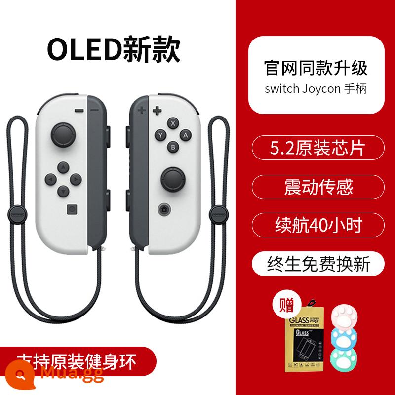 Thích hợp cho tay cầm công tắc Nintendo tay cầm joycon ns nội địa HKII trò chơi somatosensory màn hình oled chính hãng joncon tay cầm trái và phải đơn Pokémon switchipro vòng tập thể dục jys - [Phong cách mới của Oled] Vòng tập thể dục ◆Mua một tặng bốn◆Bảo hành trọn đời