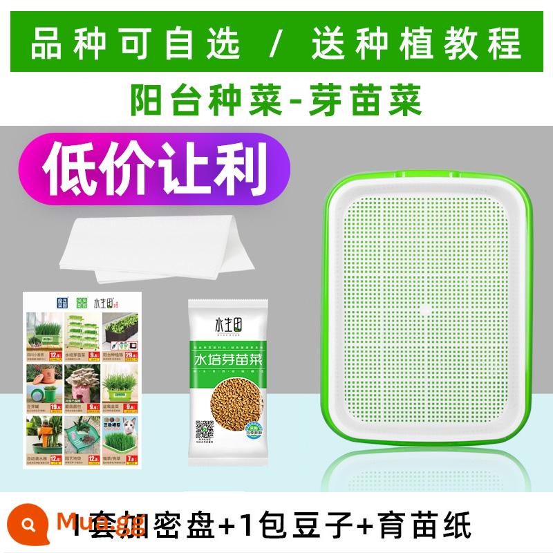 Giá đỗ nảy mầm chậu mầm rau khay gieo hạt trồng không cần đất thiết bị trồng rau thủy canh hạt đậu trồng giá đỗ - 1 bộ đĩa mã hóa/tặng 1 gói hạt giống/giấy [Ưu đãi đặc biệt]