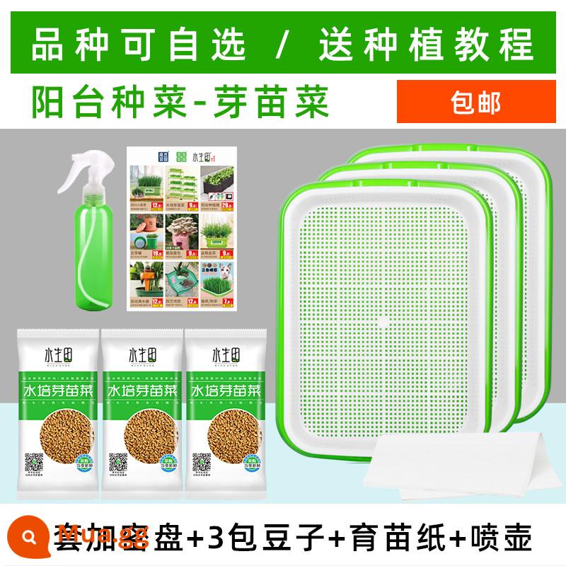 Giá đỗ nảy mầm chậu mầm rau khay gieo hạt trồng không cần đất thiết bị trồng rau thủy canh hạt đậu trồng giá đỗ - Có thể bao gồm 3 bộ đĩa mã hóa/3 gói hạt giống/giấy/tưới nước