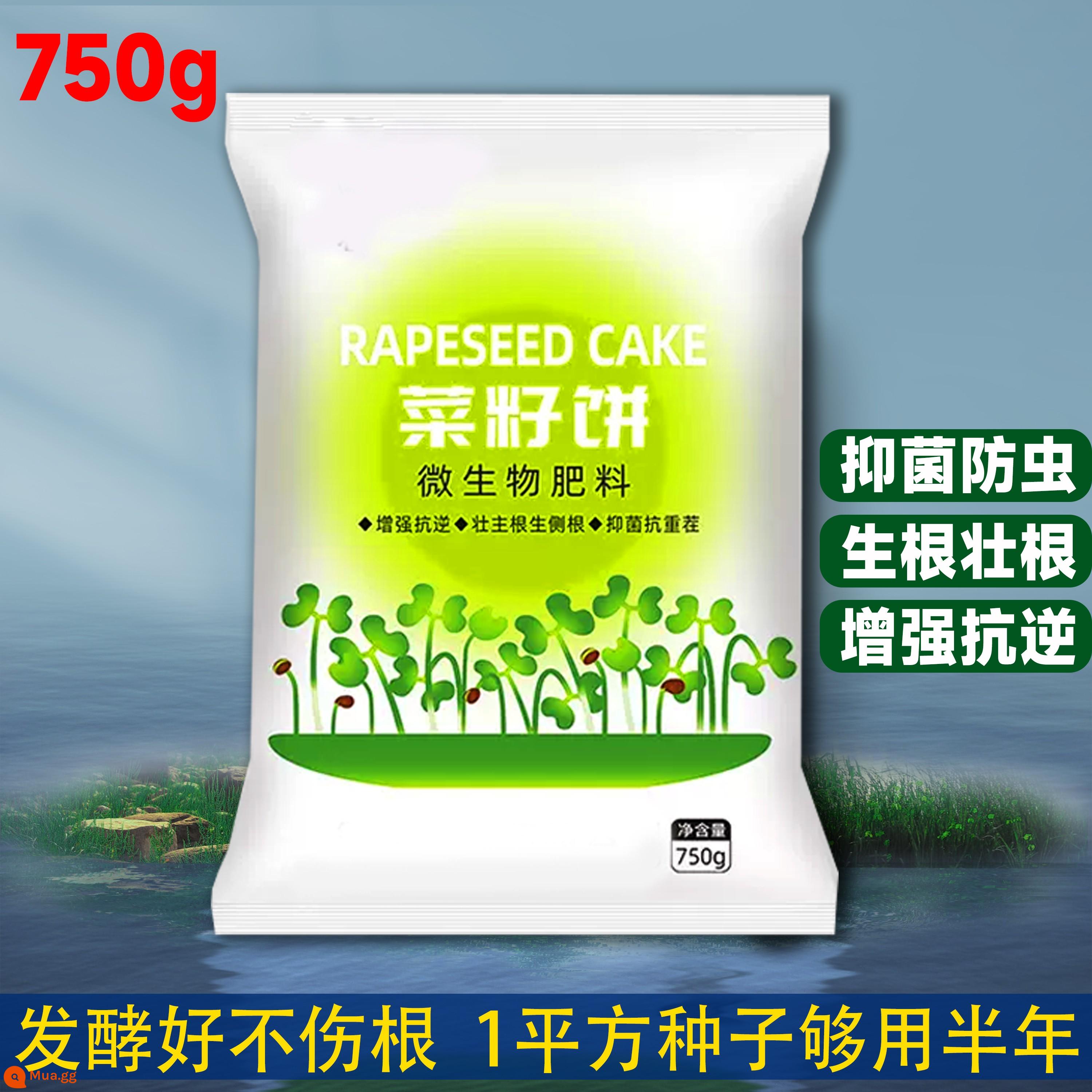 Crystal Ice Seeds Ban công Hạt giống rau trồng trong chậu Bộ sưu tập hoàn chỉnh Cây giống cỏ băng bốn mùa để trồng Hạt giống rau xanh vào mùa thu đông - Đối tác tốt cho việc trồng rau - bánh hạt cải dầu 750g [tự nhiên và hữu cơ, thúc đẩy tăng trưởng và không làm cháy rễ]