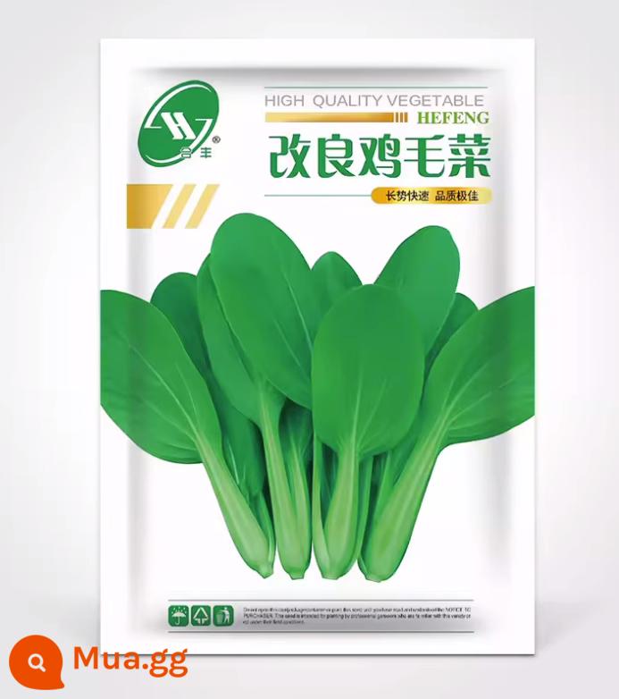 Crystal Ice Seeds Ban công Hạt giống rau trồng trong chậu Bộ sưu tập hoàn chỉnh Cây giống cỏ băng bốn mùa để trồng Hạt giống rau xanh vào mùa thu đông - Lông gà cải tiến 30g [thu hoạch trong 20 ngày, giòn, mềm và ngon]