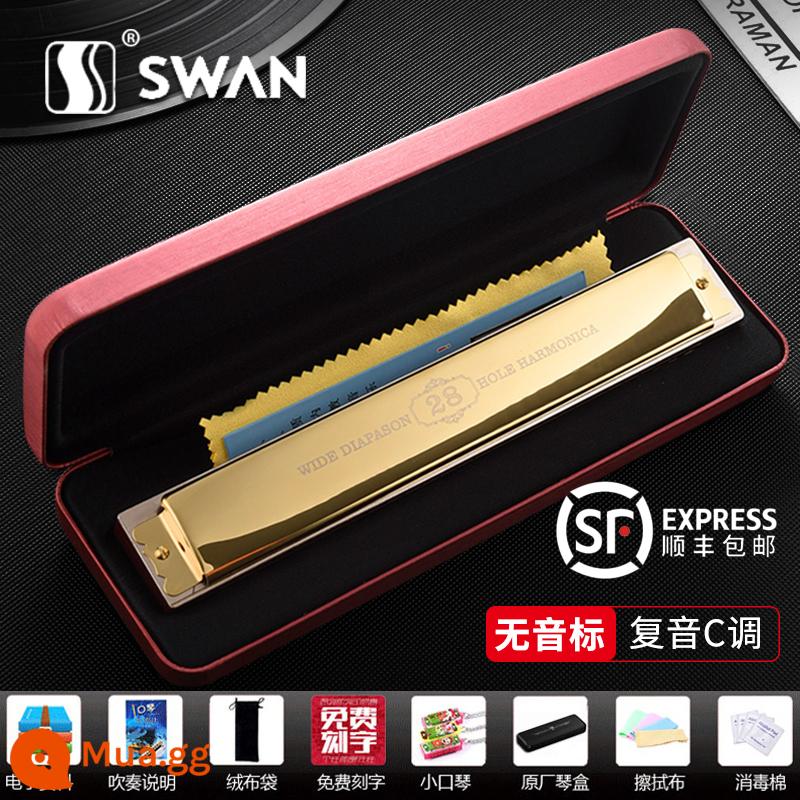 Cồng nhập khẩu Đức 28 lỗ cao cấp giọng nam kèn harmonica chính hãng biểu diễn chuyên nghiệp nhạc cụ đa âm 24 lỗ nữ - [Cấp độ biểu diễn] Phím C đa âm vàng 28 lỗ + trọn bộ quà tặng