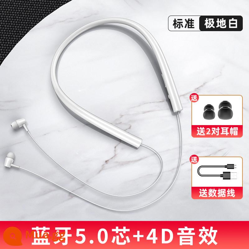 Tai nghe Bluetooth không dây đeo cổ 2023 giảm tiếng ồn thể thao mới phù hợp cho Apple Huawei oppo thời lượng pin siêu khủng - [Phiên bản tiêu chuẩn] Polar White + Chip Bluetooth 5.0