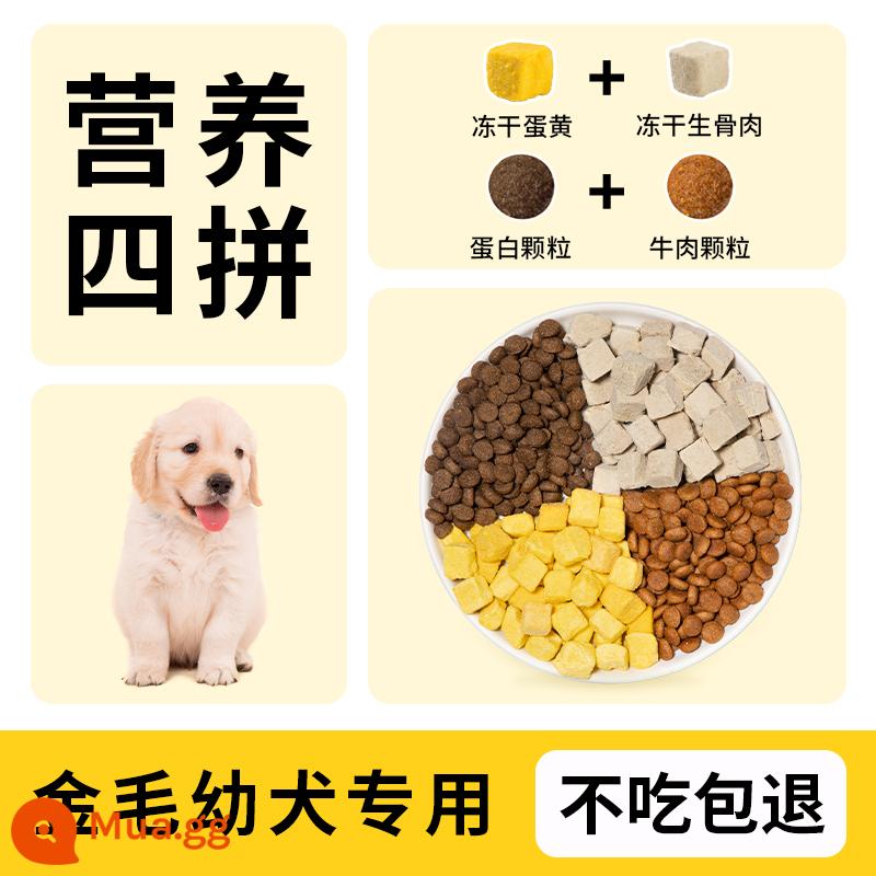 Golden Retriever Chó đặc biệt ăn 40 con mèo vào một chú chó lớn, chó lớn, tóc đẹp, canxi bổ sung đường tiêu hóa và dạ dày, đông lạnh - Mua 1 tặng 1 cho chó Golden Retriever (bốn miếng đông khô), không ăn có hoàn tiền