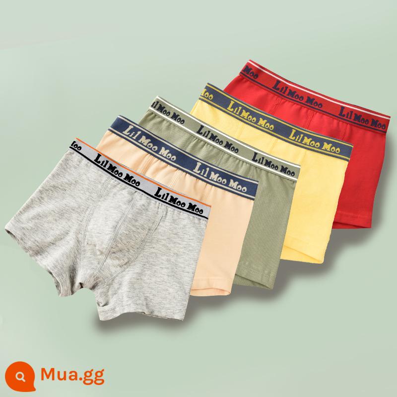 Quần lót boxer cotton nguyên chất cho trẻ em bé trai loại A quần short màu đỏ dành cho bé trai và thanh thiếu niên - GB002 màu trơn #cotton nguyên chất #5 gói