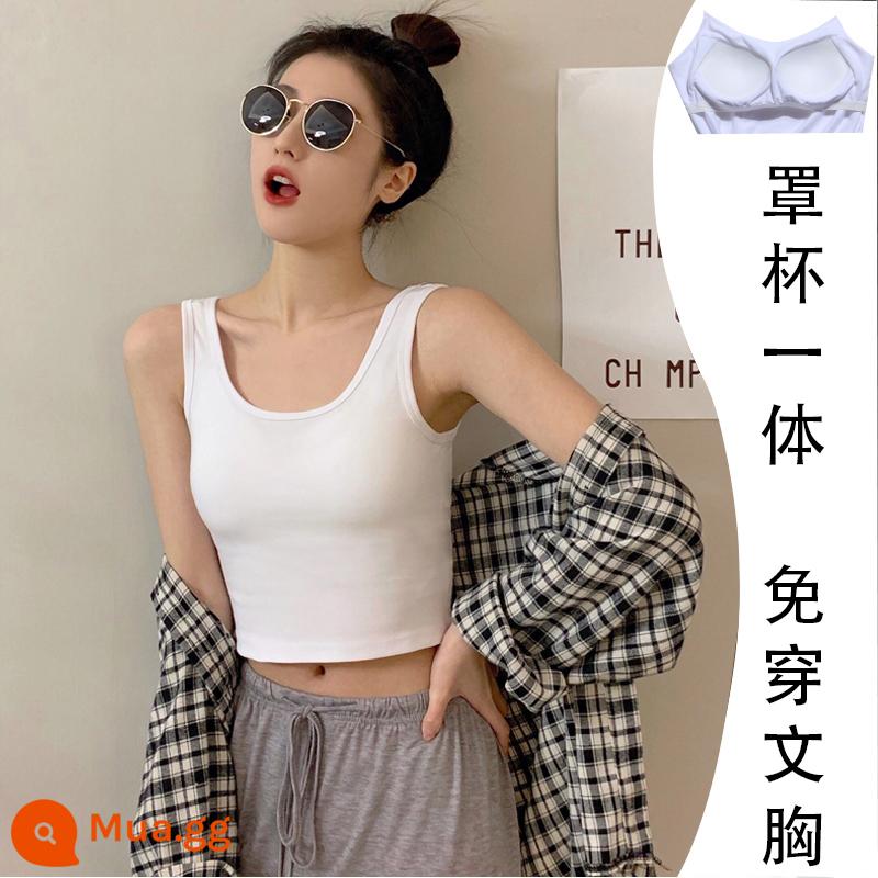 Cotton nguyên chất màu đen cổ vuông yếm trong của phụ nữ mặc trong mùa xuân và mùa thu ngắn dây đeo vai rộng lưng đẹp cộng với nhung bên ngoài mặc dưới cùng - Trắng [Tấm đệm ngực chữ U]