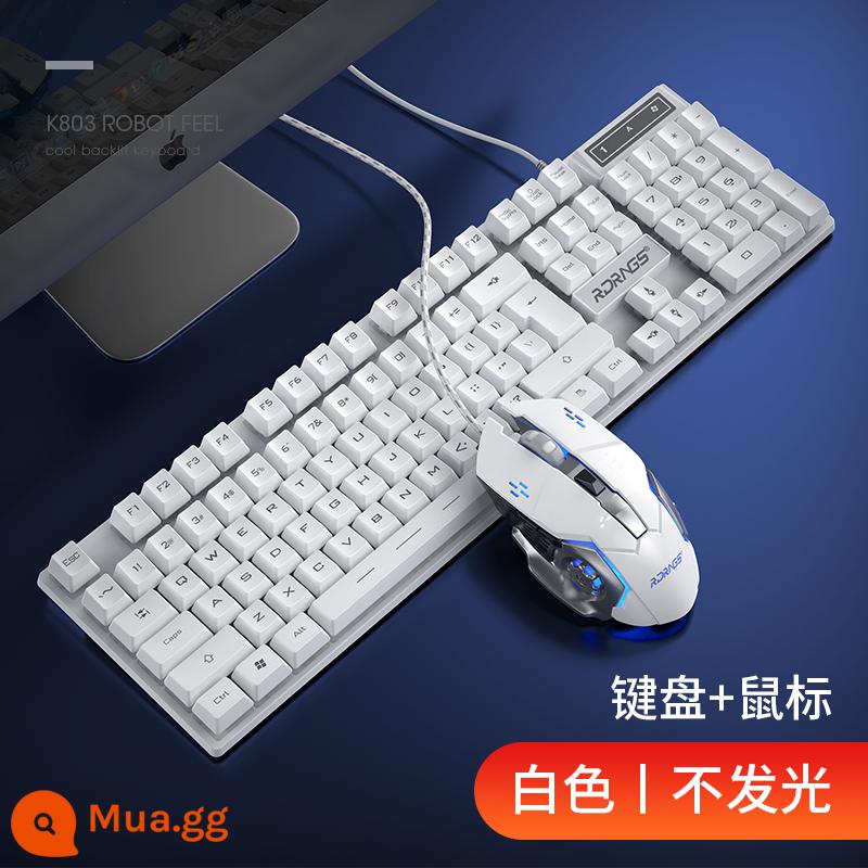 Người chế tác bàn phím máy tính để bàn máy tính xách tay điện cạnh tranh game văn phòng usb phím chuột có dây bộ bé trai và bé gái đa năng - Phiên bản bàn phím và chuột màu trắng/mờ [Cảm giác cơ học☆Mũ phím nổi☆Bàn phím+chuột]