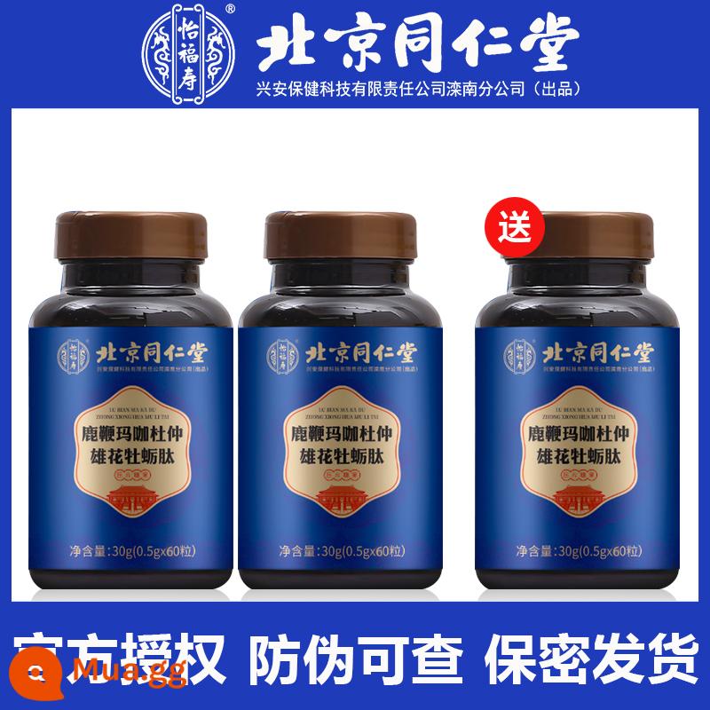 Bắc Kinh Tongrentang Roi hươu Nhân sâm Maca Oyster Peptide Viên nén Men's Male Adult Sản phẩm uống Sản phẩm không tốt cho sức khỏe LY - [Mua 2 tặng 1] 3 chai hàng thật