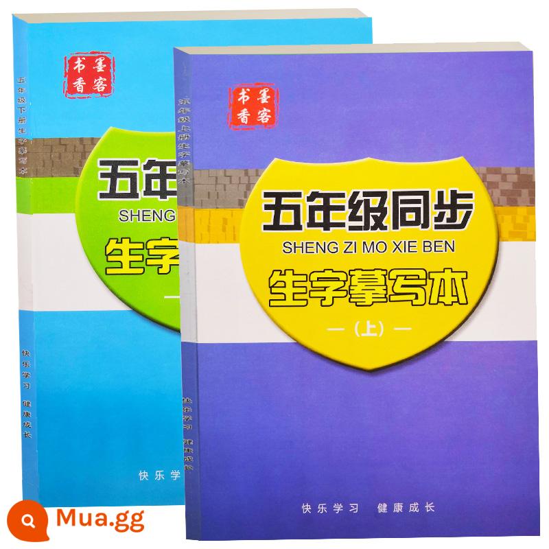 Sách đỏ tra chữ Hán, lớp 1, tập 2, lớp 3, tập 1, sách luyện chữ Hán, nét đồng bộ, nét, trọn bộ dành cho trẻ em - Tập 1 + Tập 2 lớp 5 (kèm bút chì)