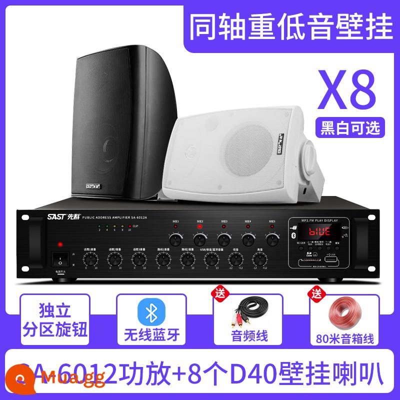 Xianke Wall Audiovutions SOUND Box Store - SA-6012 năm vùng + giá treo tường loa siêu trầm D40 *8 + cáp âm thanh 80 mét