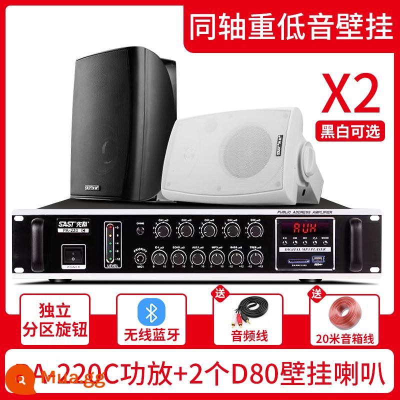 Xianke Wall Audiovutions SOUND Box Store - PA-220C năm vùng+loa siêu trầm D80 treo tường*Cáp âm thanh 2+20m