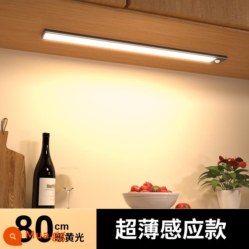 Đèn LED thông minh cơ thể con người dải ánh sáng cảm ứng sạc không dây tự dính tổng thể tủ bếp tủ giày hiên tủ rượu tủ quần áo dải ánh sáng - [Mẫu siêu mỏng 9mm] Cảm biến ánh sáng màu vàng 80cm/luôn ở chế độ kép