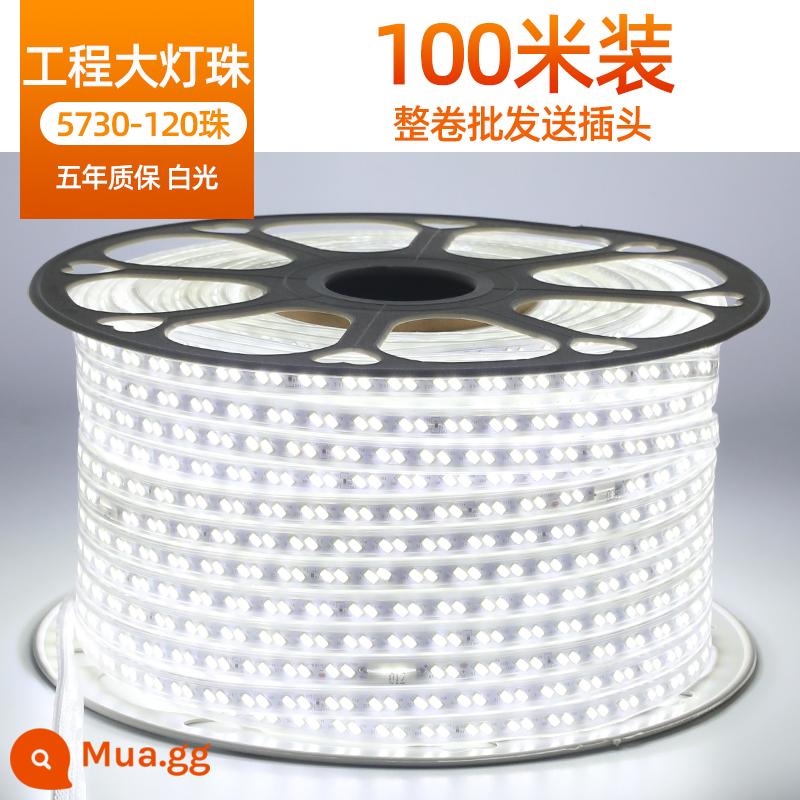 Dải Đèn LED Ngoài Trời Chống Thấm Nước 220V Siêu Sáng Nhà Phòng Khách Trần Dự Án Đèn 3 Màu Lõi Ngoài Trời Ấm Dây Dải Ánh Sáng - 100 mét [hạt đèn phòng khách kỹ thuật] 5730 hàng đôi 120 hạt ★ đèn trắng đi kèm 10 phích cắm