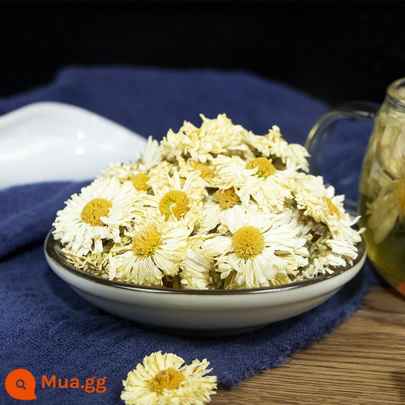 Chrysanthemum Tea 500g Đế chế chính trị Bắc Jiangsu Chrysanthemum Hàng mới đặc biệt - [Trà Hoa Cúc Thơm]