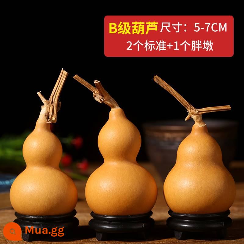 Xoắn tay xịn văn chơi tay cầm miếng chơi dây tự nhiên vòi sắt mạ vàng bầu nhỏ 4-7cm đầy đủ 10 cái miễn phí vận chuyển - Bầu hỗn hợp cấp độ B (2 chuẩn + 1 lỗ mỡ)