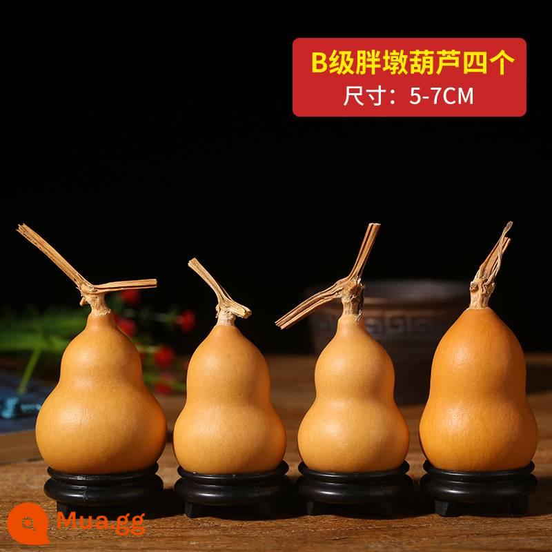 Xoắn tay xịn văn chơi tay cầm miếng chơi dây tự nhiên vòi sắt mạ vàng bầu nhỏ 4-7cm đầy đủ 10 cái miễn phí vận chuyển - 4 quả bầu mỡ loại B