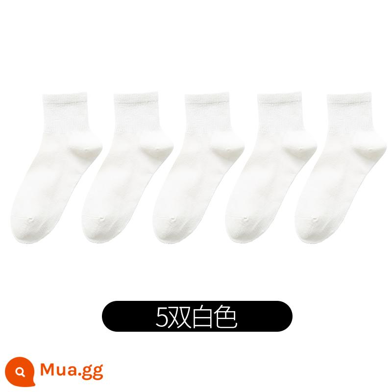 Vớ nữ ống giữa cotton nguyên chất mùa xuân, mùa thu và mùa đông ống ngắn cotton màu đen JK học sinh màu trơn vớ thể thao ins thủy triều - Trắng 5 đôi