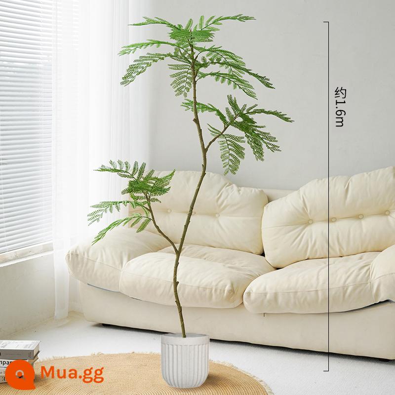 Màu xanh jacaranda mô phỏng cây xanh sàn đứng chậu cây bionic đồ trang trí trong nhà ghế sofa phòng khách trang trí cây cảnh giả cây - Hoa jacaranda xanh 160cm + lọ hoa bánh răng