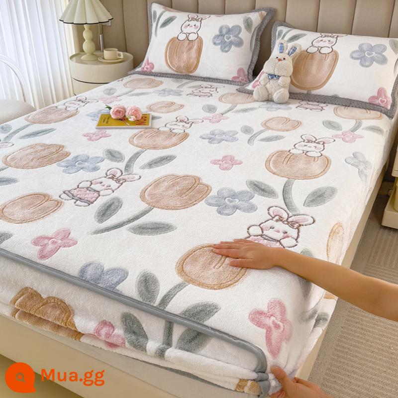 Jieliya sữa san hô mô hình Velvet Single Bed Bed Mids Matsus Mattp Mattop Caper Matsted Mattop Cast Set - thỏ hoa tulip