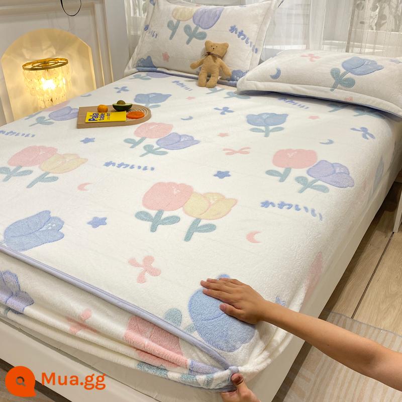 Jieliya sữa san hô mô hình Velvet Single Bed Bed Mids Matsus Mattp Mattop Caper Matsted Mattop Cast Set - Hoa nở