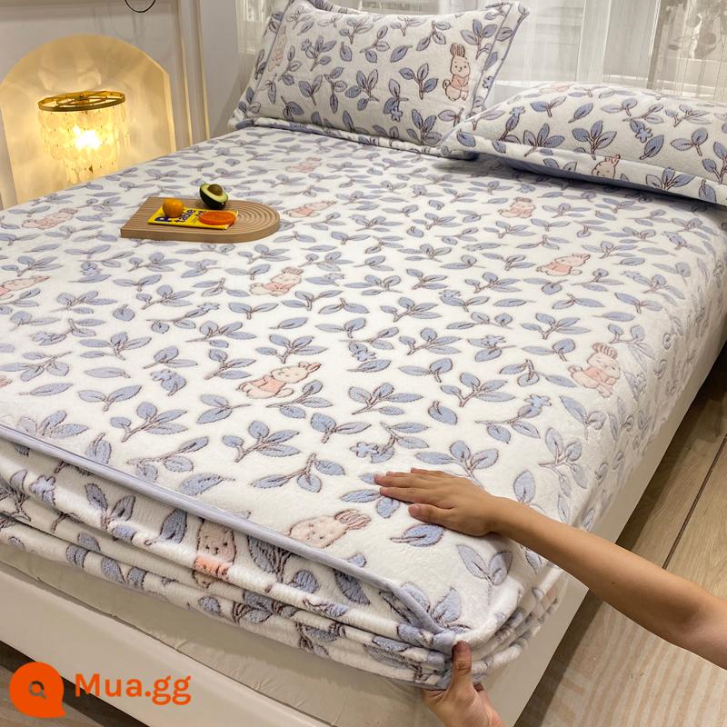 Jieliya sữa san hô mô hình Velvet Single Bed Bed Mids Matsus Mattp Mattop Caper Matsted Mattop Cast Set - Ye Xiangsui