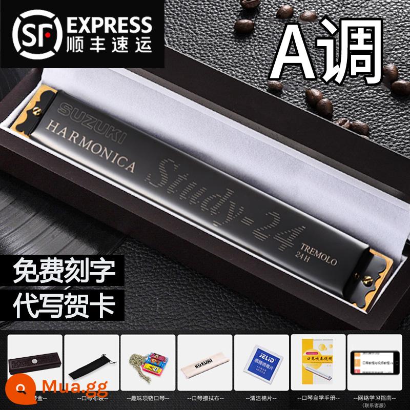 Bản gốc Suzuki harmonica 24 lỗ đa âm C giai điệu đích thực dành cho học sinh người lớn mới bắt đầu với đàn piano chuyên nghiệp - Hộp quà đa âm A + đàn hương đen + quà tặng