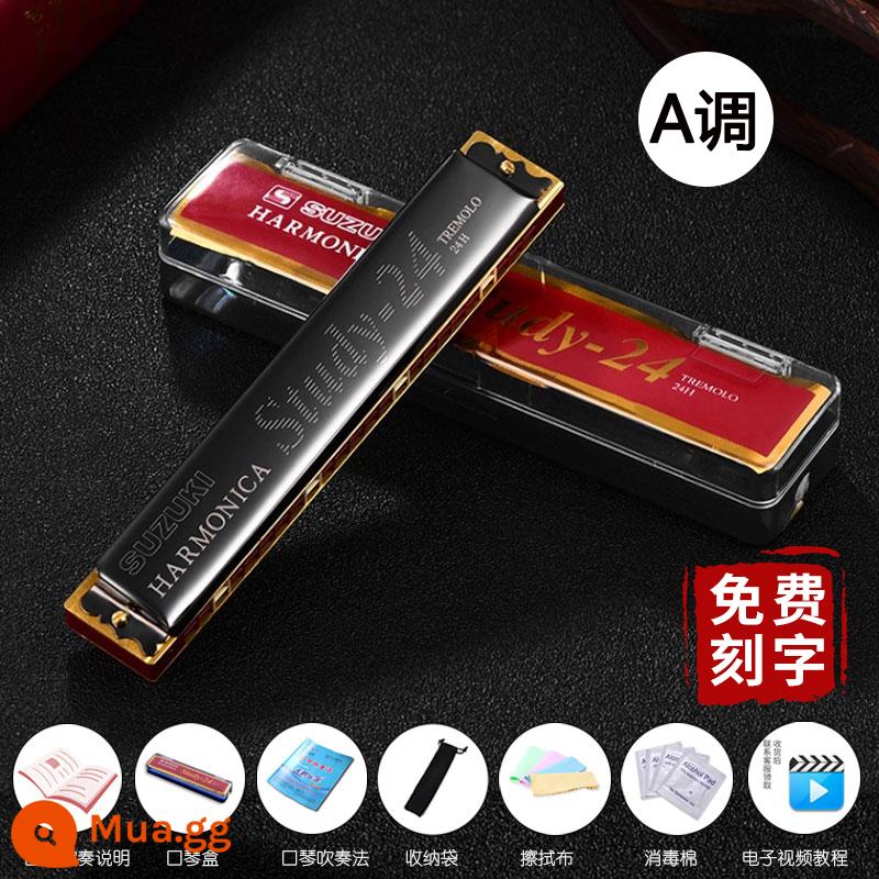 Giai điệu harmonica đa âm Suzuki 24 lỗ chính hãng của Nhật Bản A/F/G/C/#C dành cho người mới bắt đầu và sinh viên trình độ chơi chuyên nghiệp ở cấp độ đầu vào - SUZUKI-24 lỗ đen A tông