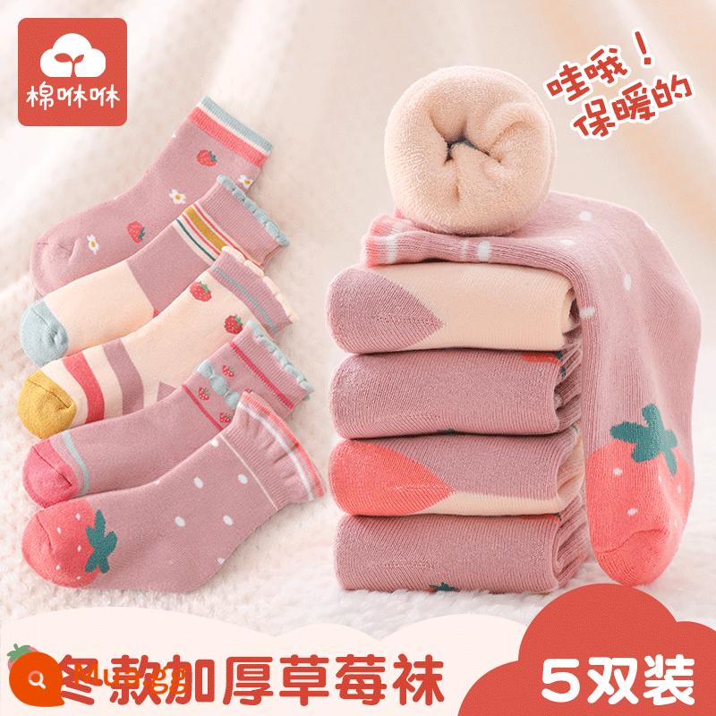 Vớ bé gái mùa đông dày ấm bông tất trẻ em cotton nguyên chất ống giữa vớ cotton mùa thu đông cho bé Plus nhung khăn tất - Công chúa dâu-5 đôi dày phong cách mùa đông