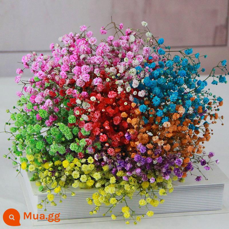 Gypsophila khô hoa trang trí phòng khách trang trí bán buôn gió tự nhiên tươi bình hoa thật quà tặng chất liệu tự làm - Bó lớn hơi thở em bé nhiều màu sắc (không bao gồm bình sữa)