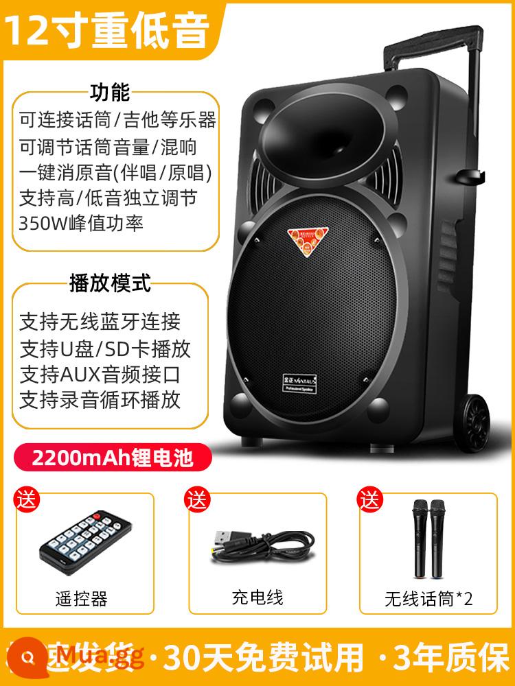 Kim Jong square dance âm thanh karaoke ngoài trời di động cần gạt bluetooth loa có micro hát hiệu suất âm lượng lớn - Loa 12 inch + pin lithium 2200mAh (micro không dây kép)