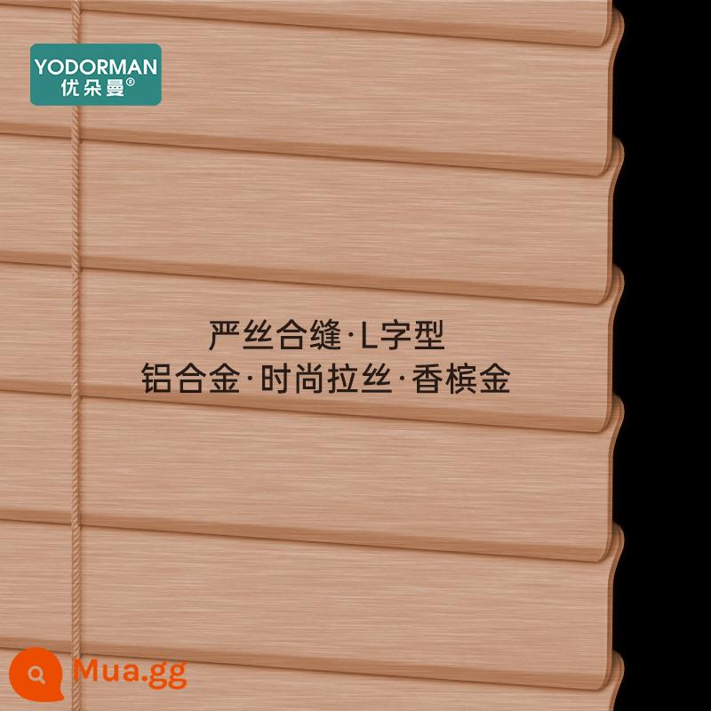 Udorman Hợp Kim Nhôm Rèm Venetian Miễn Phí Bấm Bóng Nâng Điện Đơn Giản Hiện Đại Phòng Phòng Tắm Nhà Bếp - [Chải động] Vàng sâm panh