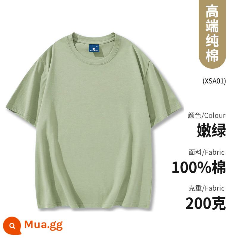 Quần áo công sở Áo thun cotton nguyên chất ngắn tay văn hóa áo sơ mi văn hóa trường trung học cơ sở đồng phục học sinh quần áo họp thể thao in logo - Loại B-xanh nhạt