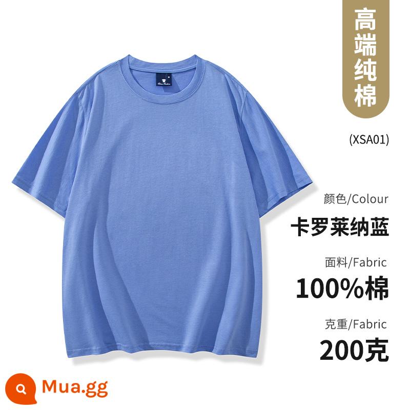 Quần áo công sở Áo thun cotton nguyên chất ngắn tay văn hóa áo sơ mi văn hóa trường trung học cơ sở đồng phục học sinh quần áo họp thể thao in logo - Loại B-Carolina Xanh