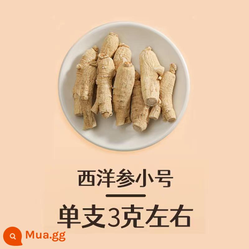 250g nhân sâm Mỹ nguyên nhánh hạt đầu Trường Bạch nhân sâm Mỹ phần chính hãng số lượng lớn lát chứa lát ba bột không hộp quà tặng - [250g rễ 5 năm tuổi đóng chai] Khoảng 3g/gốc Nhân sâm Mỹ chọn lọc