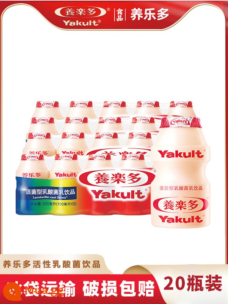 Nhãn dán tùy chỉnh Yakult Đồ uống Yakult bé gái và trẻ em bố cục cảnh trang trí tiệc sinh nhật vui vẻ - "Thức uống Yakult" Vận chuyển túi đá lạnh" 20 chai