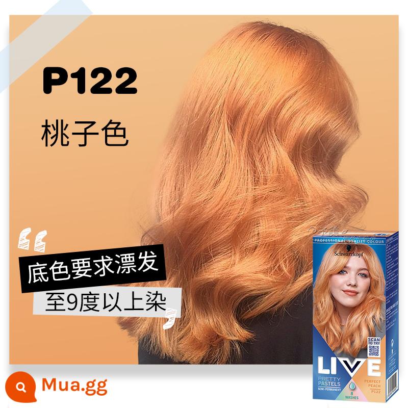 Schwarzkopf SỐNG tóc xanh đen shihualou chính thức nữ l75 bọt bong bóng 101 vật có nguyên chất kem nhuộm tóc - P122 màu đào