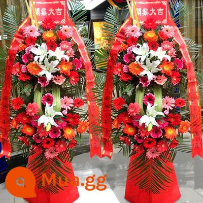 Lẵng hoa khai trương hoa Vô Tích Xishan Huishan Binhu Jiangyin Yixing Liangxi Xinwu shop hoa đồng thành phố giao hàng tận nơi - Kiểu 11 (giá 1 đôi)