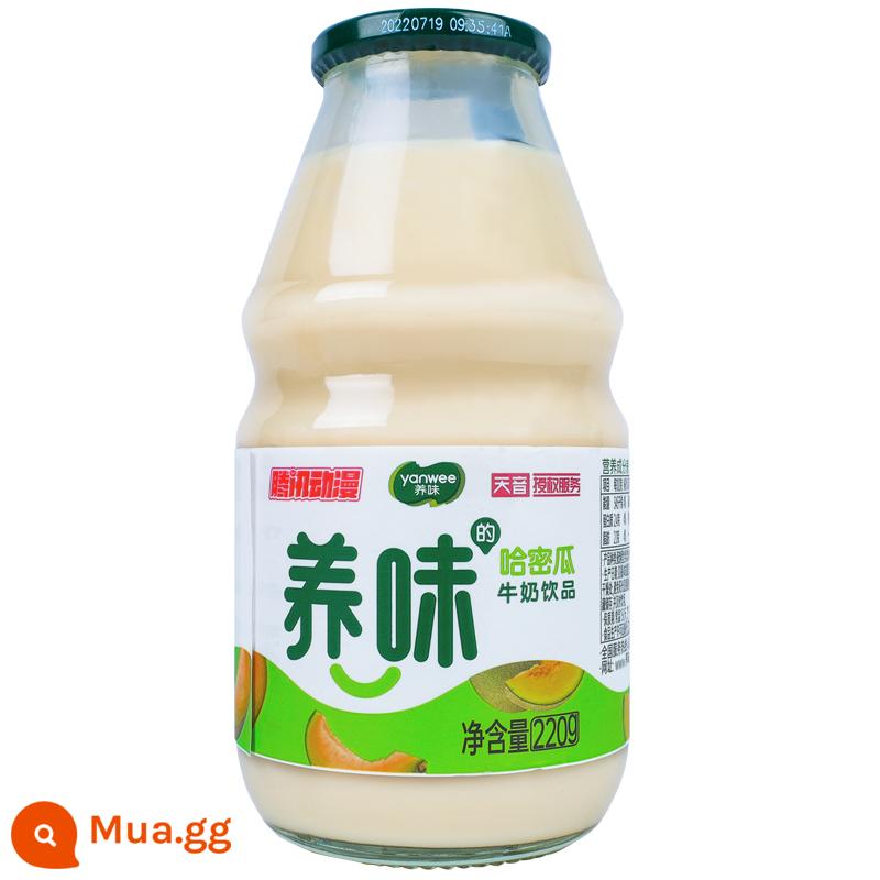 Yangwei Hương Dâu Sữa Sinh Viên Ăn Sáng Sữa Axit Lactic Nước Giải Khát Trái Cây Uống 6 Chai 12 Chai 220Ml Đóng Hộp - [6 chai sữa trái cây] vị dưa đỏ