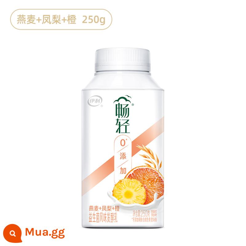 Sữa chua nhạt Yilichang 250g đóng chai hương vị men vi sinh sữa lên men vàng đào yến mạch sữa chua nhiệt độ thấp cả hộp - Bột yến mạch dứa 250g